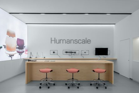 Humanscale