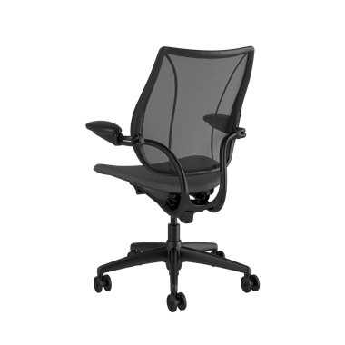 Liberty Task Chair, Monofilament Black Back, Oxygen Revive Seat Picture 3