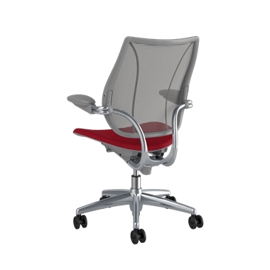 Liberty Task Chair, Pinstripe Graphite Back, Oxygen Liberty Seat, Polished frame with Silver Trim Picture 3